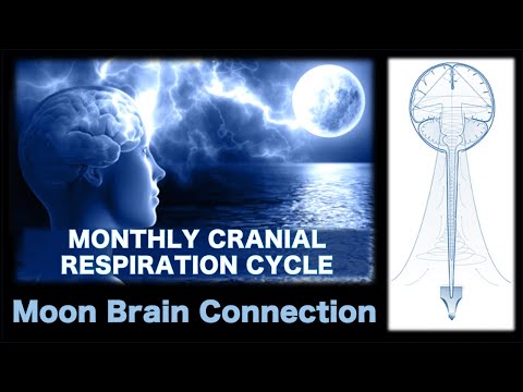 MOON BRAIN CONNECTION - *Sacred Secretion* - Monthly Cranial Respiration Cycle #mooncycles #alchemy