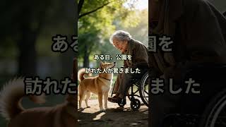 柴犬ハルと車いすのおばあちゃん #柴犬ハル #犬のいる暮らし #命の尊さ