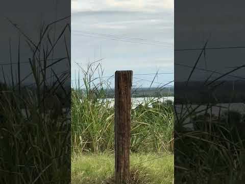 Chegamos Porto Figueira - Paraná- Rio Paraná #pescaria #rioparana #portofigueira
