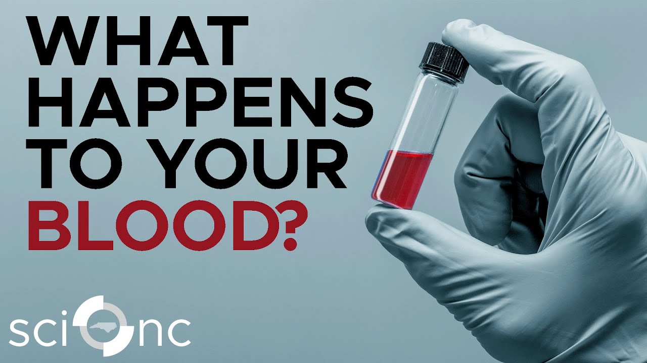 What Happens to Your Blood Test?