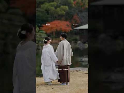 agrandissement-maison-toit-plat-entrée-extérieur-vitrée