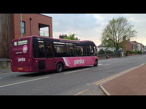 Little Pinks 81 to Gateshead - Go North East 685 - NK66 CXA