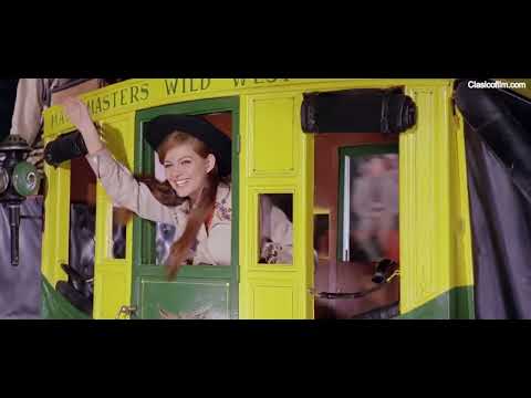 Amo del Circo