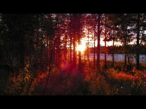 Tauski - Oranssin auringon alla