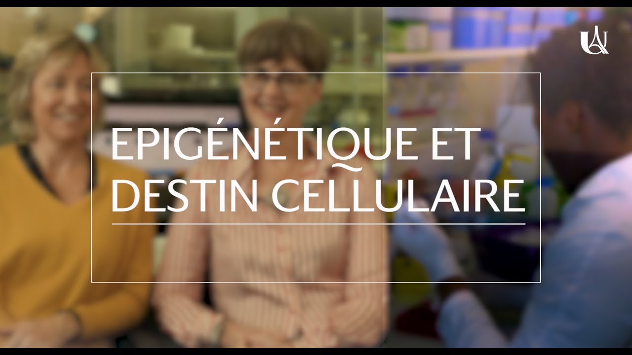 Epigénétique et Destin Cellulaire