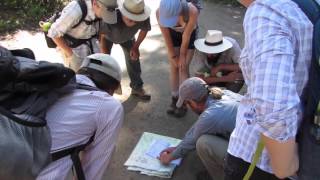 Advanced Field Botany 2015