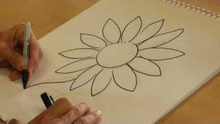 Drawing From Nature : How to Draw a Daisy