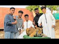 കടുവയുടെയും കരടികളുടെയും കൂടെ ദുബായ�