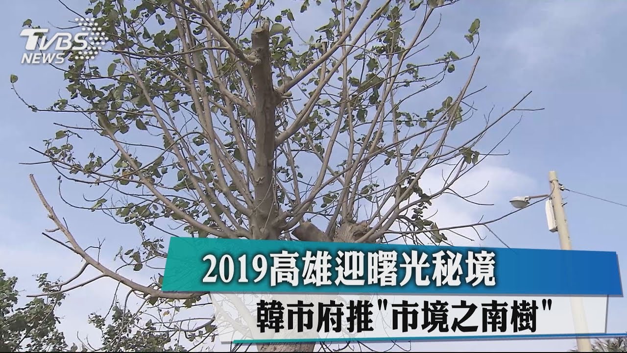 2019高雄迎曙光秘境　韓市府推「市境之南樹」