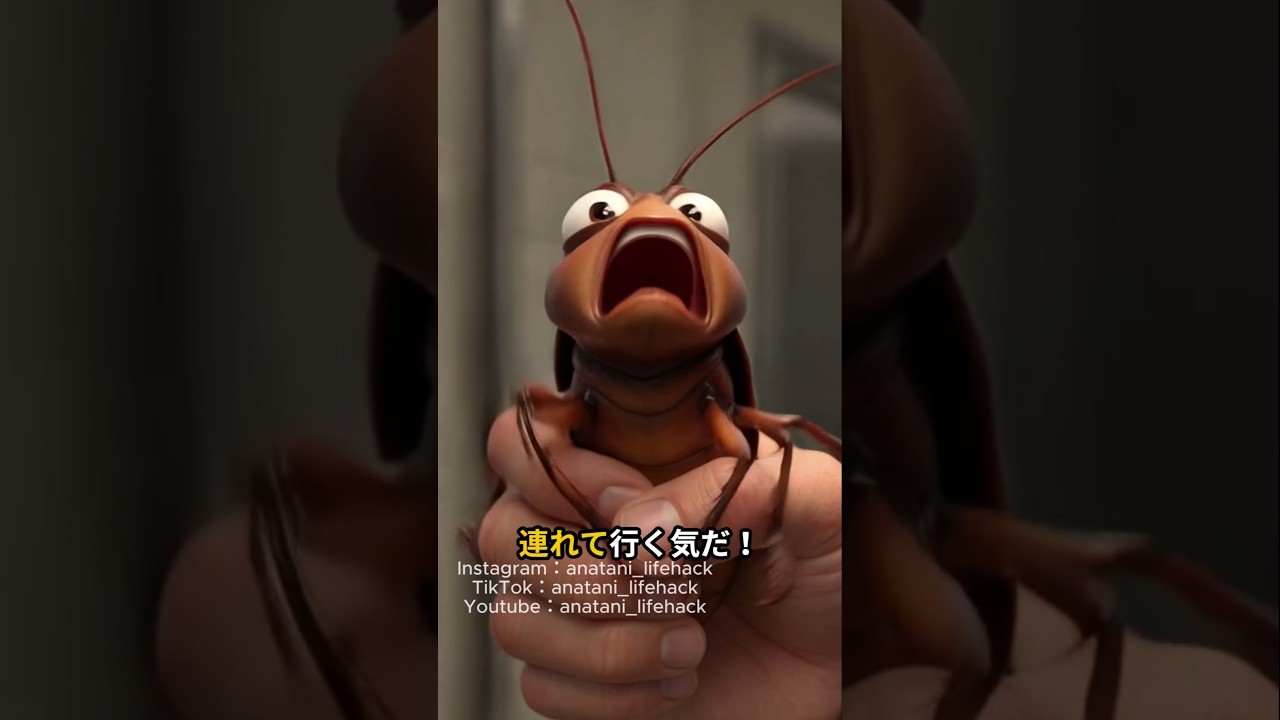 ゴキブリをトイレに流すとどうなる？知ってたら得する知識、ライフハック #プチ知識 #豆知識 #雑学
