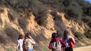 CSS - Fuck Everything