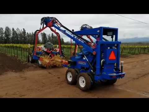 download lagu mp3 mp4 Scheid Vineyards Pinot Noir, download lagu Scheid Vineyards Pinot Noir gratis, unduh video klip Scheid Vineyards Pinot Noir