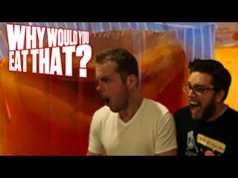 Kombucha aka Bacteria Filled Tea - Why Would You Eat That?