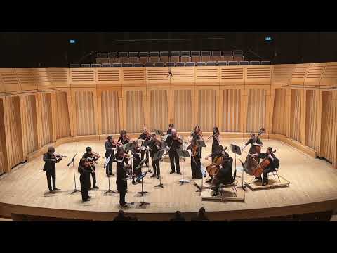 Mark David Boden  - Chasing Sunlight