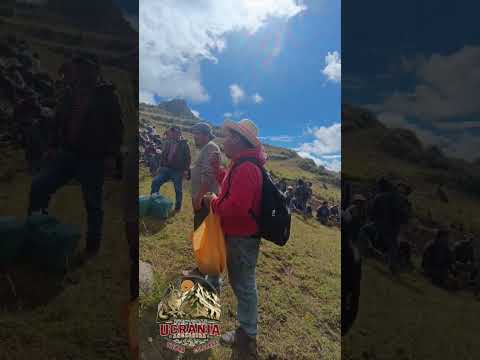 llamellin Antonio Raimondi