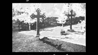 IL GIARDINO VIOLETTO - locusts (1989)