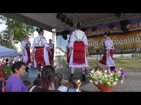 Ansamblul Folcloric Magura Codlei !
