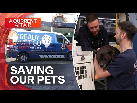 The special ambulance coming to the rescue of our pets | A Current Affair