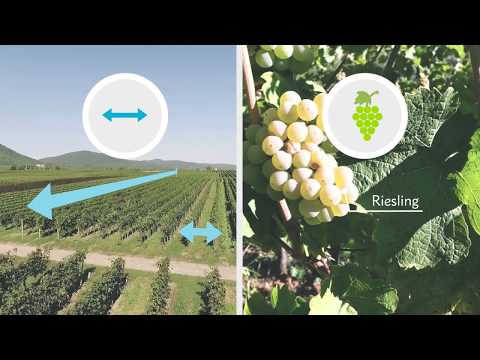 Vineyard Cloud | GIS / FMIS for your vineyard Video