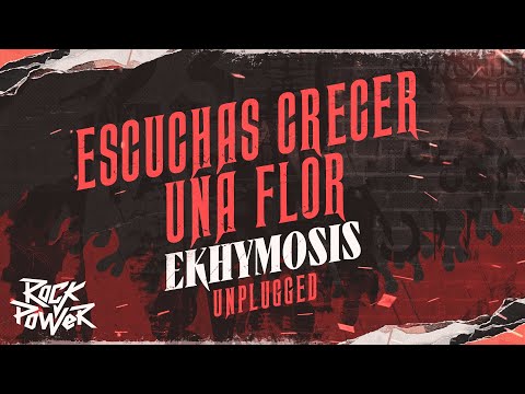 Escuchas Crecer Una Flor, Ekhymosis -  Unplugged