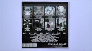 Afflicted - The Empty Word