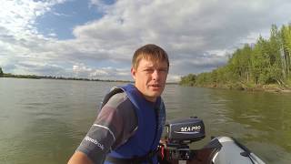 Sea pro 5 л. с