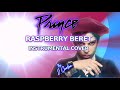 Raspberry Beret 1985 - Instrumental Cover (Prince)