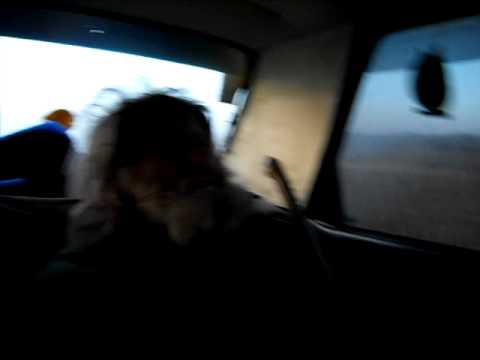 ion calugarul din dorobantu, bula, gogu si gabi.avi