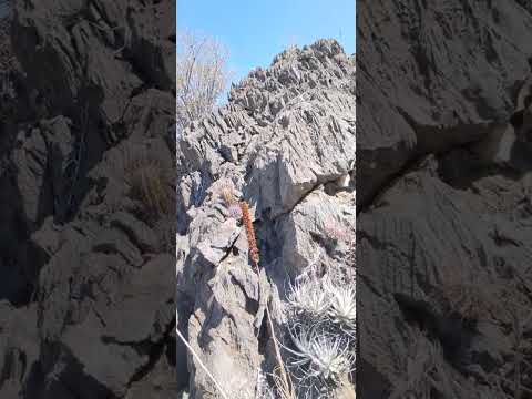 Conhecendo um pouquinho do Santo Euzébio município Itaguaçu da Bahia 