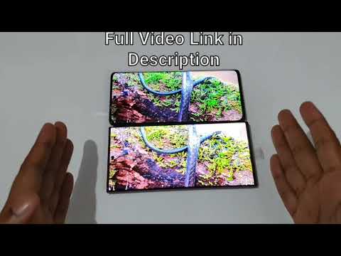 Xiaomi 12 Pro Vs Galaxy S22 Ultra Display Comparison