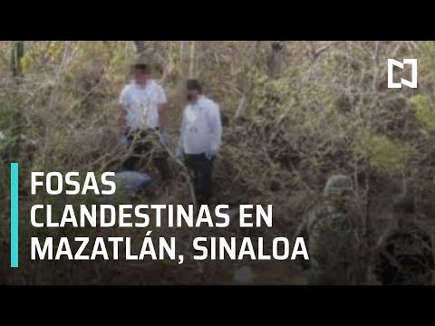 Hallan 11 cuerpos masculinos en fosas clandestinas en Sinaloa - Las Noticias