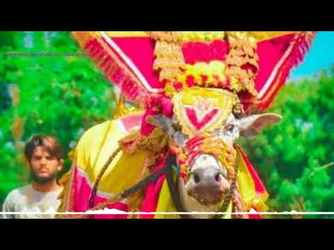 haveri Rock star dj song new