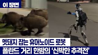 '한밤의 추격전' 멧돼지 쫓는 휴머노이드 로봇 [이 장면]