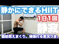 【1日1回】飛ばない！マンションでもできるHIITで脂肪燃焼しまくり！！痩せる筋トレ！！