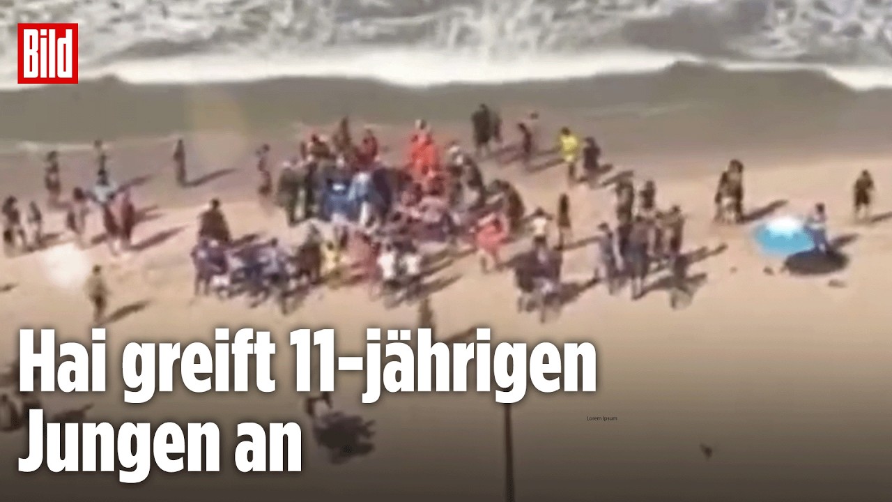 BRASILIEN: Zwei Hai-Angriffe in nur 48 Stunden