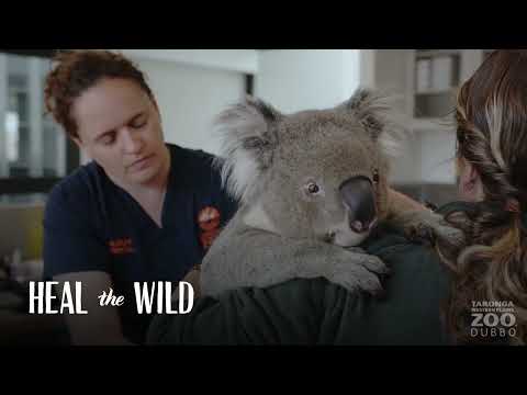 Taronga Western Plains Zoo, Dubbo