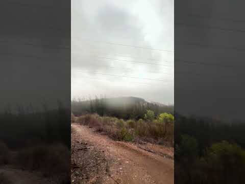 Temporal, Lota, Región del Bio Bio, Chile 🇨🇱