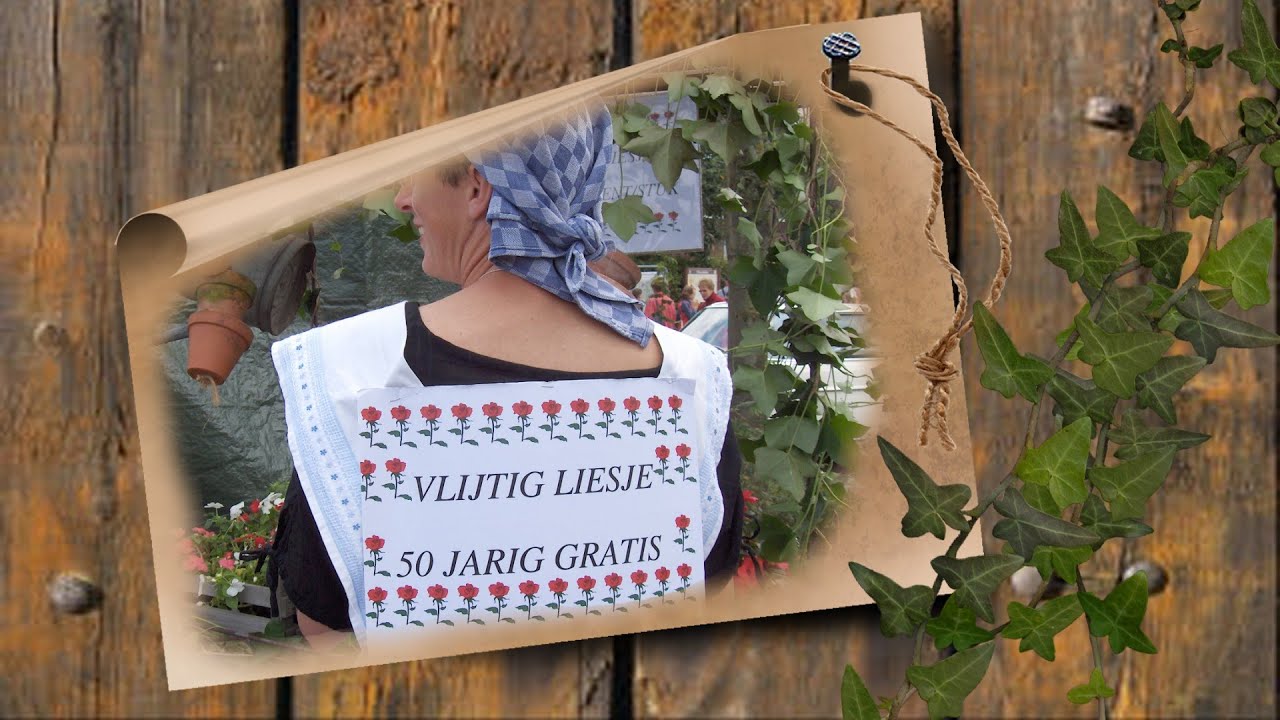 Vlijtig Liesje