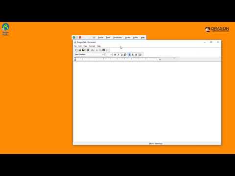 Dragon Veterinary: How to customize your Dragon bar