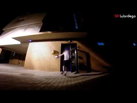 Dog in a Spider Costume 😂😂