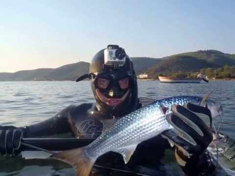 sporasub one air 110 / cefali