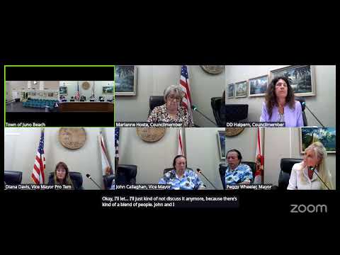 Special Town Council Meeting - February 18, 2026