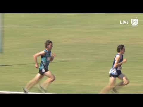 Boys U16 800m Final - 2019 State Track and Field Championships // LAVicTV