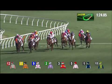 9/2/2022 (408) Dragon Pride - Z Purton