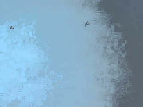 Woody 2010 Aerotow Contest