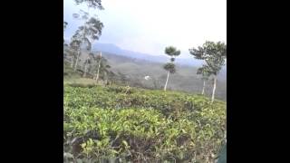 Download lagu video clip sunda rasta memori cianjur mp3