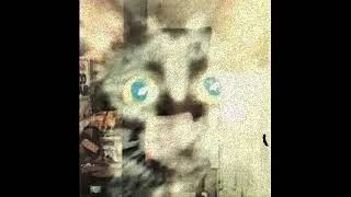 Pram -- The Ray (revert)