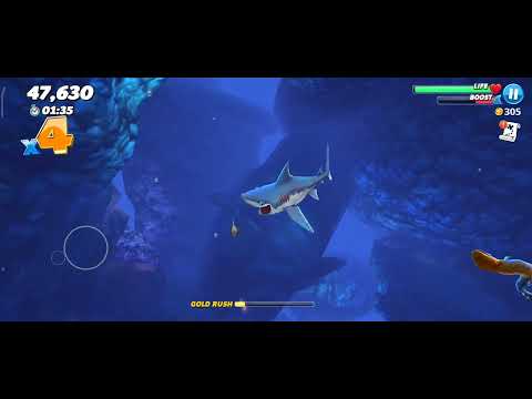 porbeagle Vs south china sea