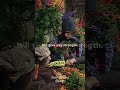 Dennis Moore gives lupins to the poor | Robin Hood | Monty Python's Flying Circus #montypython
