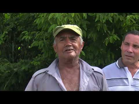 Recorren máximas autoridades de Santiago de Cuba polo productivo La minerva en Songo-La Maya